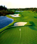 Daytona Beach Golf Course - LPGA International - Champions by TeeBone Golf