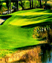 Dallas & Ft. Worth Golf Course - Golf Club at Champions Circle by TeeBone Golf