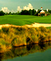Jax/St Augustine/Palm Coast Golf Course - The Golf Club at South Hampton by TeeBone Golf