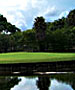 Miami & Fort Lauderdale Golf Course - Doral Resort-Gold Course by TeeBone Golf