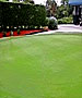 Naples & Ft. Myers Golf Course - Hibiscus Golf Club by TeeBone Golf