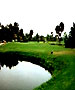 Sarasota/ Bradenton to Cape Coral Golf Course - The River Club by TeeBone Golf