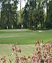 Tampa Golf Course - Sebring Golf Club by TeeBone Golf