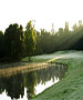 Tampa Golf Course - The Claw at USF by TeeBone Golf