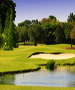 Tampa Golf Course - Buckhorn Springs Golf & Country Club by TeeBone Golf