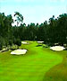 Daytona Beach Golf Course - Halifax Plantation by TeeBone Golf