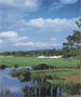 Orlando Golf Course - Ritz Carlton Golf Club by TeeBone Golf