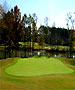 Gadsden Golf Course - Twin Bridges Golf Club by TeeBone Golf