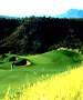 Tucson Area Golf Course - Canoa Ranch Golf Course by TeeBone Golf