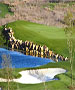 Golf Course - Teravista Golf Club by TeeBone Golf