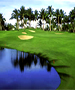 Wilmington Golf Course - El Manglar GC (Formerly Mayan) by TeeBone Golf