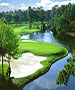 Hilton Head Golf Course - Golden Bear Golf Club by TeeBone Golf