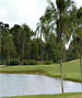 Miami & Fort Lauderdale Golf Course - Jacaranda - West by TeeBone Golf