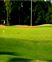 Hilton Head Golf Course - Hilton Head National by TeeBone Golf
