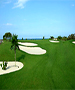 Cancun & Maya Riviera Golf Course - Playa Mujeres Golf Club  by TeeBone Golf