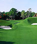 Cancun & Maya Riviera Golf Course - Iberostar Playa Paraiso GC by TeeBone Golf