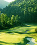 Knoxville & Crossville Golf Course - Woodlake Golf Club by TeeBone Golf
