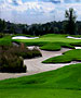 Sarasota/ Bradenton to Cape Coral Golf Course - Legacy Golf Club by TeeBone Golf