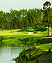 Naples & Ft. Myers Golf Course - Old Corkscrew by TeeBone Golf