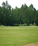 Charleston Golf Course - Cheraw Country Club by TeeBone Golf