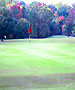 Charlotte Golf Course - Larkhaven Golf Club by TeeBone Golf