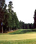 Ocean City Golf Course - Nassawango Country Club by TeeBone Golf