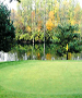 Columbus Golf Course - Tree Links GC by TeeBone Golf
