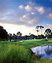 Tampa Golf Course - Belleview Biltmore CC by TeeBone Golf