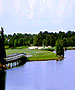 Tampa Golf Course - The Club at Eaglebrooke by TeeBone Golf