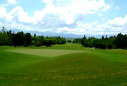 golf courses