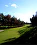  Golf Course - Pine Ridge Golf Club by TeeBone Golf