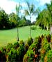 San Jose Golf Course - Los Delfines Golf & Country Club by TeeBone Golf