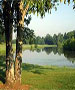 Nashville Golf Course - Pine Creek Golf Course by TeeBone Golf