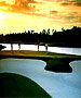 Grand Bahama & Freeport Golf Course - The Reef Golf Course by TeeBone Golf