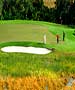 Orlando Golf Course - Highlands Reserve Golf Club by TeeBone Golf