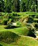West Palm to Pt. St. Lucie Golf Course - Pga Golf Club: Dye Course by TeeBone Golf