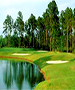 Jax/St Augustine/Palm Coast Golf Course - The Golf Club at Fleming Island by TeeBone Golf
