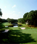 Jax/St Augustine/Palm Coast Golf Course - The Golf Club at Amelia Island by TeeBone Golf