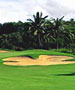 Puerto Vallarta Golf Course - Flamingos Golf Course by TeeBone Golf