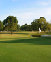 Atlanta Golf Course - The Georgia Trail at Sugarloaf (9 Holes) by TeeBone Golf