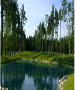 Boston, Cape Cod & Islands. Golf Course - Quail Ridge Country Club by TeeBone Golf