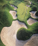  Golf Course - Doral Golf Club (9 Holes) by TeeBone Golf