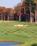 Alexandria/DC Area Golf Course - Westfields Golf Club by TeeBone Golf