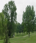 Chattanooga Golf Course - Brainerd Golf Course by TeeBone Golf