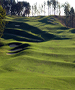 Knoxville & Crossville Golf Course - Rarity Pointe Golf  Course by TeeBone Golf