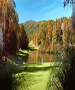 Asheville Area Golf Course - Lake Lure Golf Club-9 Hole by TeeBone Golf