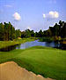 Tampa Golf Course - Lansbrook Golf Club by TeeBone Golf