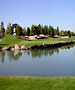 Las Vegas Golf Course - Desert Pines by TeeBone Golf
