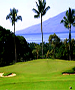 Maui Golf Course - Kaanapali Kai Course (South) by TeeBone Golf