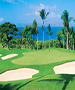 Maui Golf Course - Wailea Golf Club - Gold Course by TeeBone Golf